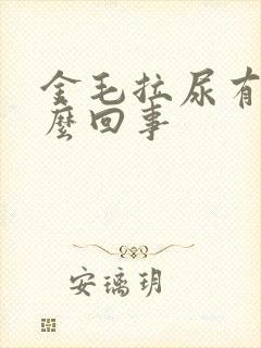 金毛拉尿有血怎么回事