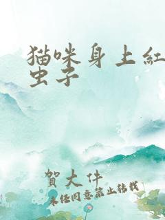 猫咪身上红色的虫子