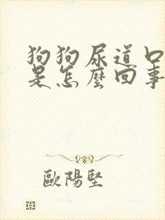 狗狗尿道口出血是怎么回事