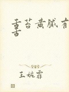 舌苔黄腻有齿痕舌