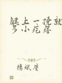 腿上一挠就起很多小疙瘩