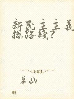 新民主主义革命总路线?