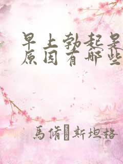 早上勃起是什么原因有哪些