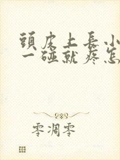 头皮上长小疙瘩一碰就疼怎么回事