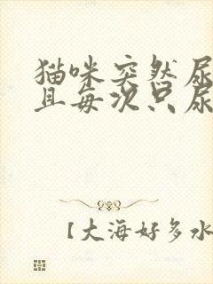 猫咪突然尿频而且每次只尿一点