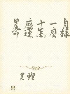 农历十一月的狗命运怎么样