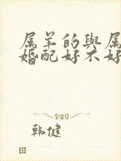 属羊的与属牛的婚配好不好