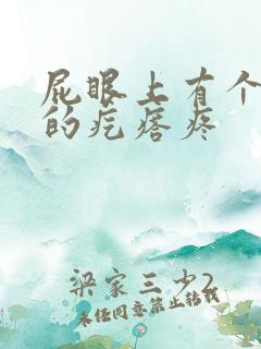 屁眼上有个硬硬的疙瘩疼