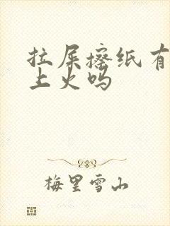 拉屎擦纸有血是上火吗