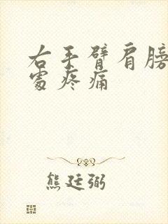 右手臂肩膀连接处疼痛