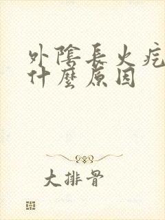 外阴长火疙瘩是什么原因