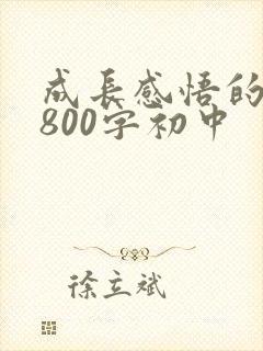 成长感悟的作文800字初中