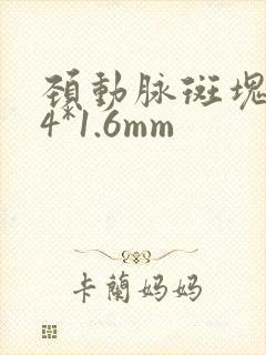 颈动脉斑块7.4*1.6mm
