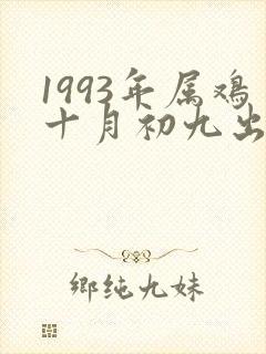 1993年属鸡十月初九出生命运