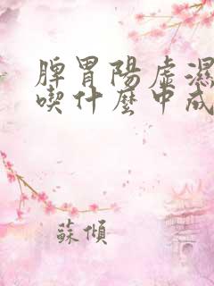 脾胃阳虚湿气重吃什么中成药