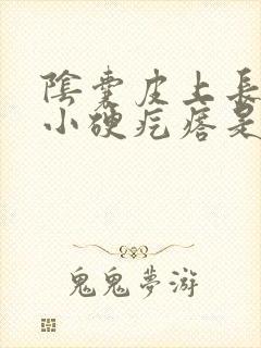 阴囊皮上长了个小硬疙瘩是怎么回事