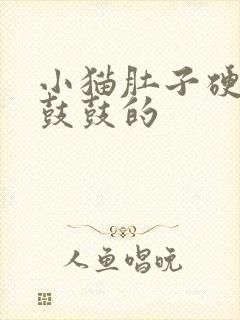 小猫肚子硬硬的鼓鼓的