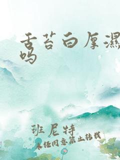 舌苔白厚湿气重吗