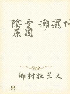 阴囊 潮湿什么原因