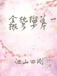 金枕榴莲一个大概多少斤