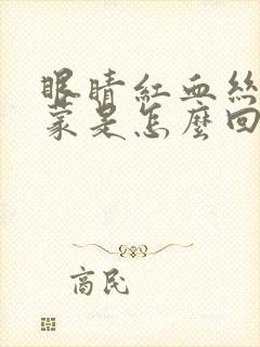 眼睛红血丝雾蒙蒙是怎么回事