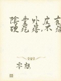 阴囊外皮有个小硬疙瘩,不痛不痒