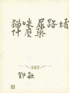 猫咪尿路堵塞吃什么药