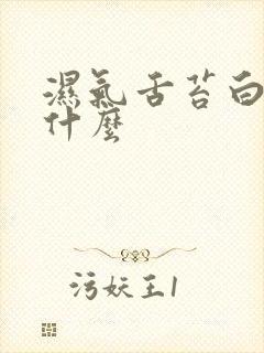 湿气舌苔白厚吃什么