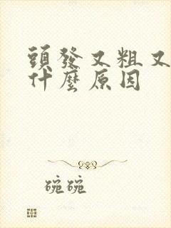 头发又粗又黑是什么原因