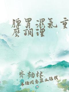 脾胃湿气重 怎么调理