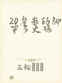 20厘米的脚长穿多大码