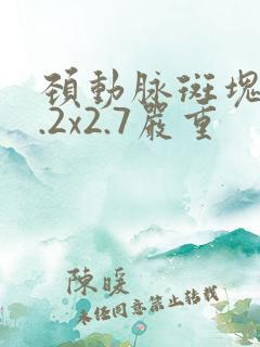 颈动脉斑块10.2x2.7严重