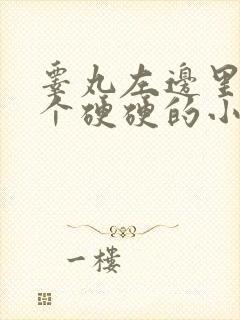 睾丸左边里面有个硬硬的小疙瘩