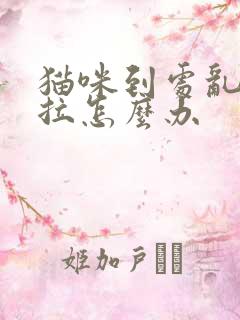 猫咪到处乱尿乱拉怎么办