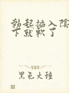 勃起插入阴道几下就软了