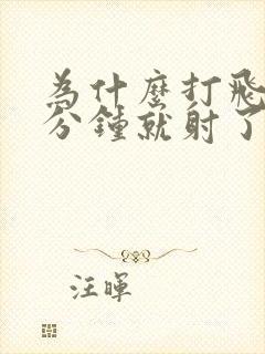 为什么打飞机一分钟就射了