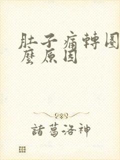 肚子痛转圈痛什么原因