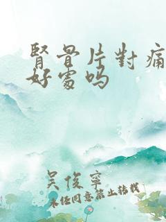 肾骨片对痛风有好处吗