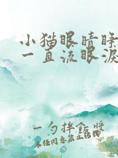 小猫眼睛睁不开一直流眼泪