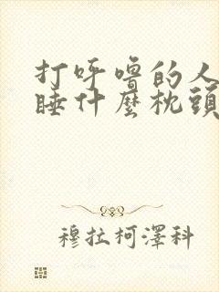 打呼噜的人适合睡什么枕头