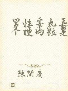 男性睾丸长了一个硬肉粒是怎么回事