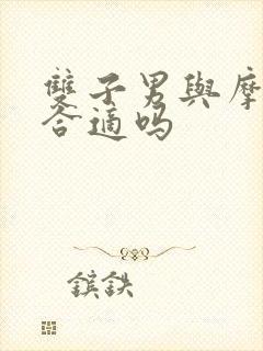 双子男与摩羯女合适吗