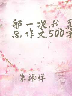 那一次,我真难忘作文500字