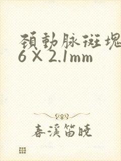 颈动脉斑块9.6×2.1mm