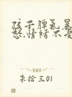 孩子脾气暴躁易怒,情绪不受控制,怎么办
