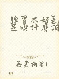 脾胃不好气血不足吃什么调理