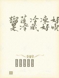 榴莲冷冻好吃还是冷藏好吃