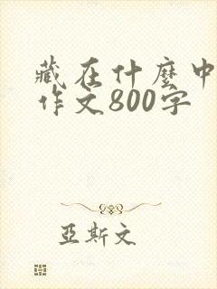 藏在什么中的美作文800字