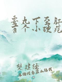 睾丸下至肛门线有个小硬疙瘩