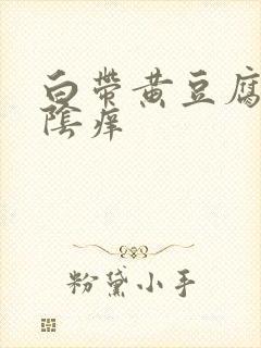 白带黄豆腐渣外阴痒